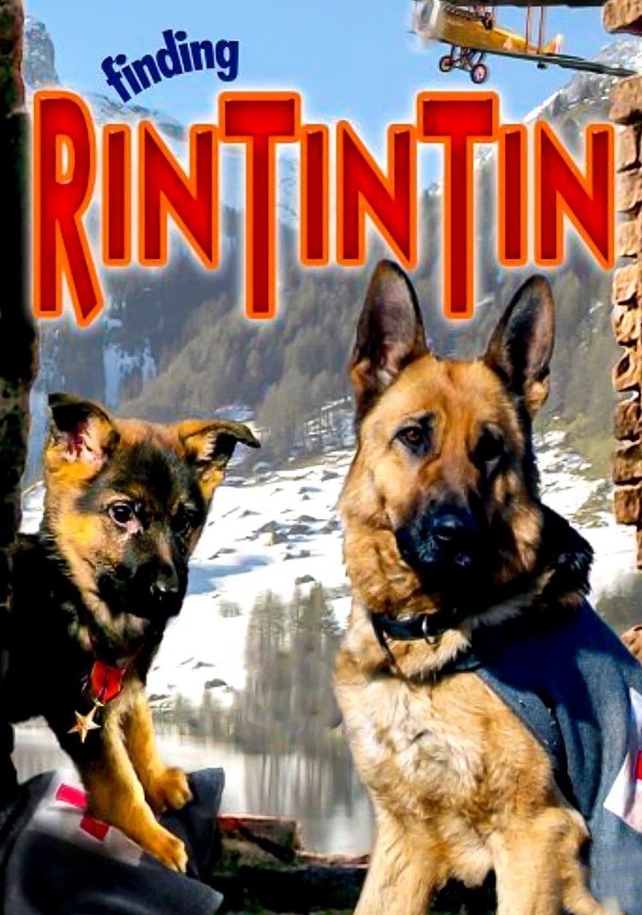 Finding Rin Tin Tin streaming where to watch online?